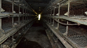 Мурманская область: Наследство птицефабрики: 462 млн рублей потратят на рекультивацию