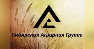 Сибирская Аграрная Группа планирует выпускать 350 тысяч тонн свинины в год 