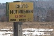 На свинокомплексе "Талан-2" продолжают гибнуть животные. Власти молчат.