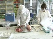 Власти Японии запретили поставку говядины из префектуры Фукусима Власти Японии запретили поставку говядины из префектуры Фукусима