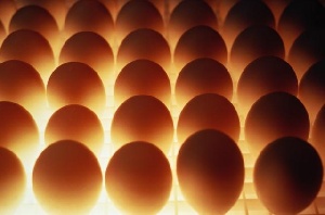 "Яшкинская птицефабрика" повысила цены на яйца из-за затрат на корм