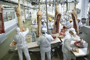 Аграрный сектор Белгородской области: 60 лет на пути к лидерству