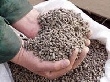Сельхозпредприятие "Ануйское" вложило 11 млн. рублей в проект по производству комбикормов
