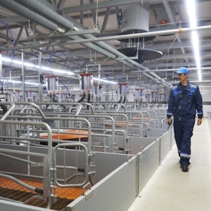 «ПРОДО Омский Бекон» нарастит мощности более чем в 1,5 раза