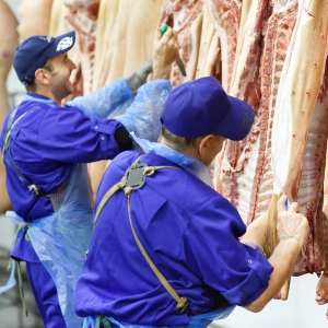 Владимир Путин сообщил, что Россия уже добилась уровня самообеспечения по мясу в 100,8%