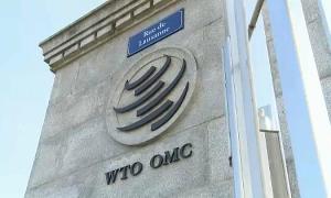 Россия выиграла у Украины спор в ВТО по транзиту