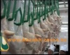 В 2012 году в Казахстане планируется увеличение производства мяса птицы на 25%		
