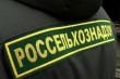 Россельхознадзор нашел в продукции Минского мясокомбината антибиотики