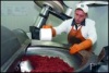 Колбаса как национальная идея с директором Сибирской продовольственной компании Ириной Макаровой.