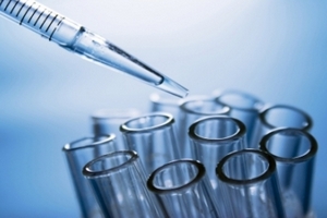 Власти Челябинской области не ждут большого урона от запрета поставок скота в Казахстан