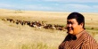 Кредитование фермеров в Казахстане дало толчок животноводству