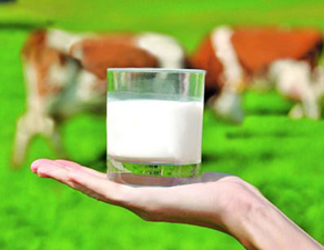 Россия сократила импорт молочной продукции