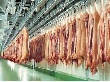 ЕС требует маркировать все виды мяса