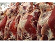 У Агинского мясокомбината не хватает сырья для переработки У Агинского мясокомбината не хватает сырья для переработки