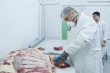 Директор алтайского комбината рассказала о "мясном кризисе"