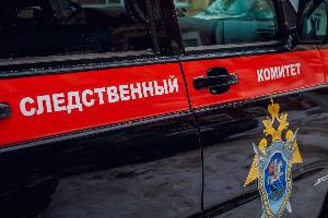 Уголовное дело возбуждено после вспышки ящура на свинокомплексе в Приморье Уголовное дело возбуждено после вспышки ящура на свинокомплексе в Приморье