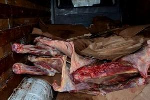 Более трех тонн мяса неизвестного производителя уничтожат в Псковской области