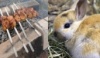 Мясо, или Почему кролик не только ценный мех?