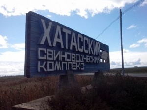 «Алмазы Анабара» готовы к модернизации Хатасского свинокомплекса «Алмазы Анабара» готовы к модернизации Хатасского свинокомплекса