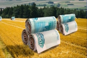 Сокращение продовольственного импорта пока не помогает отечественным предприятиям наращивать производство.