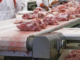 Правительство предлагает поддержать переработчиков сельхозсырья