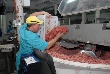 Талицкий мясокомбинат пытаются встроить в производственную цепочку птицефабрики «Рефтинская» Талицкий мясокомбинат пытаются встроить в производственную цепочку птицефабрики «Рефтинская»