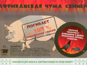 Забайкальским аграриям предложили отказаться от свиноводства