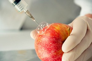 В США запущен сервис проверки продуктов на ГМО