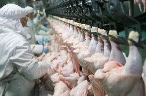 Украина: Владимир-Волынская птицефабрика отрицает угрозу закрытия предприятия из-за заболевания сотрудников COVID-19