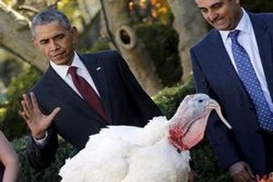 Обама "помиловал" двух индеек в канун Дня Благодарения
