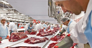 В Новой Зеландии проводят испытание экзоскелета для мясопереработчиков