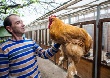 Краснодарский фермер представит в Москве уникальную коллекцию кур
