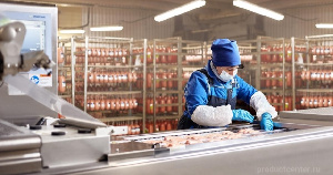 Бобровский мясокомбинат планирует строительство второго свинокомплекса