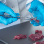 В Италии нашли поддельные «веганские» закуски со свининой, зараженной чумой