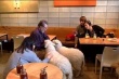 В Сеуле открылось кафе с живыми овцами