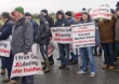 Ирландия: Фермеры протестуют против низких цен на быков