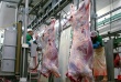 Рязанские предприятия, перерабатывающие мясо, рыбу и молоко, будут работать по новым правилам