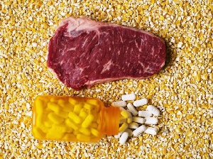 Ученые отмечают глобальный сдвиг в сторону отказа от использования кормовых антибиотиков
