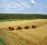 Гостехнадзор помогает модернизировать АПК Тюменской области Гостехнадзор помогает модернизировать АПК Тюменской области