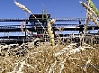 На Кубани развивается сельскохозяйственное кооперативное движение На Кубани развивается сельскохозяйственное кооперативное движение