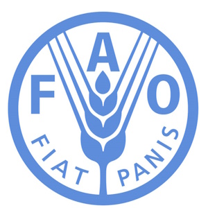 ФАО: Мировые цены на говядину и баранину остаются высокими, а цены на мясо птицы упали