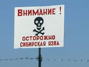 В Ростовской области выявлен очаг сибирской язвы