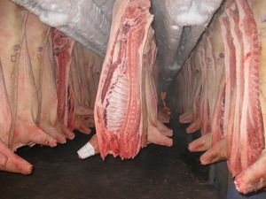 Более 1 т мяса украдено со свиноводческого комплекса в Беларуси