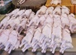 27% украинского экспорта мяса приходится на рынок Ирака