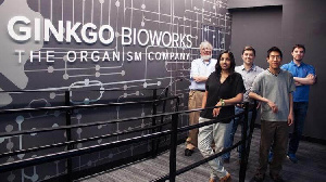 Биотехнологический гигант Ginkgo Bioworks разрабатывает замену мясу и молоку Биотехнологический гигант Ginkgo Bioworks разрабатывает замену мясу и молоку