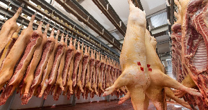 Китай импортирует американскую свинину, несмотря на повышение тарифов
