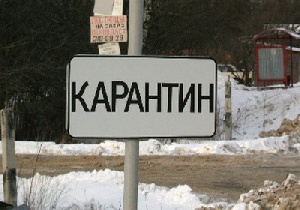 В нескольких районах Кировской области ввели карантин по бешенству