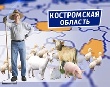 На деньги иностранных инвесторов каждый житель Калининградской области мог бы купить кролика, поросенка и шесть гусят