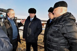 Омский губернатор поручил проработать программу поддержки мясного животноводства на севере региона