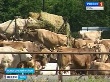Под Ясногорском строится крупный животноводческий комплекс Под Ясногорском строится крупный животноводческий комплекс